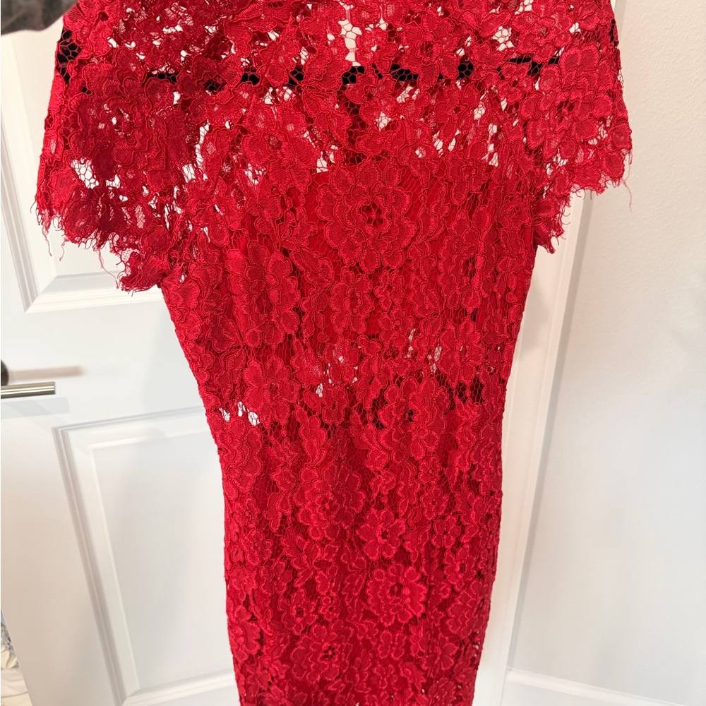 Alexis Scarlet Floral Lace Dress